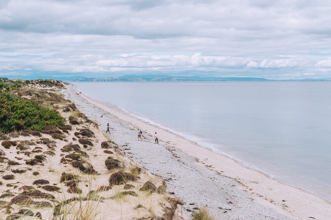 1 Day Moray Coast Tour with Speyside Whisky from Inverness - Stop 1, Findhorn Beach: the harbour views that set your pace