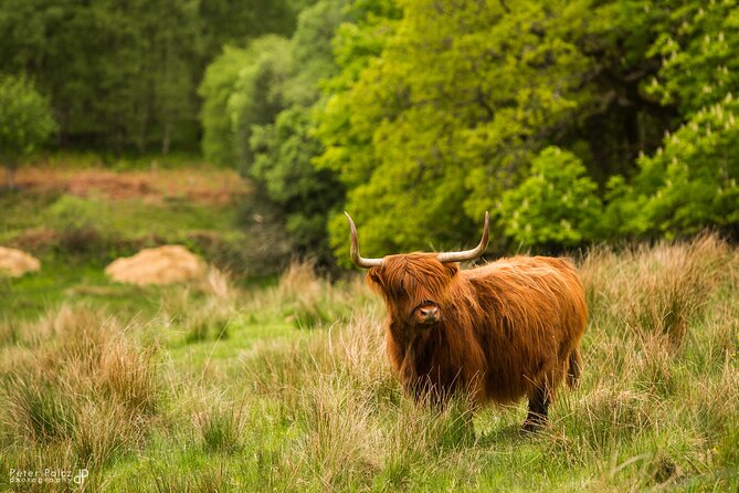 1-day Small Group Loch Ness Discovery Tour from Glasgow - Stop 2: Glencoe in 20 Minutes (Fast Photos, Strong Mood)