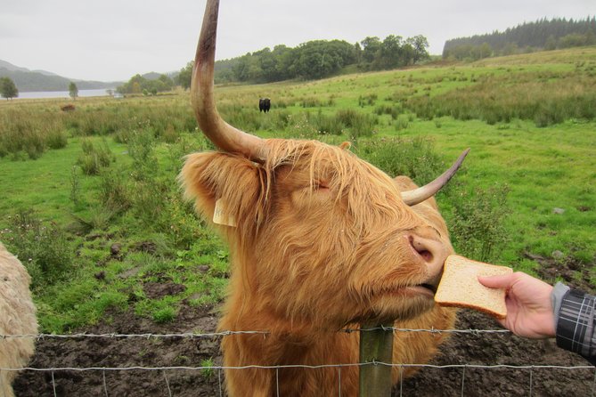 1 Day Tour from Inverness - Isle of Skye, Fairy Pools, and Eilean Donan Castle - Starting in Inverness, then turning the drive into the tour