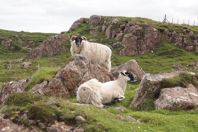1 Day Tour from Inverness - Isle of Skye, Fairy Pools, and Eilean Donan Castle - Portree Harbour: the one-hour reset that makes the day feel doable