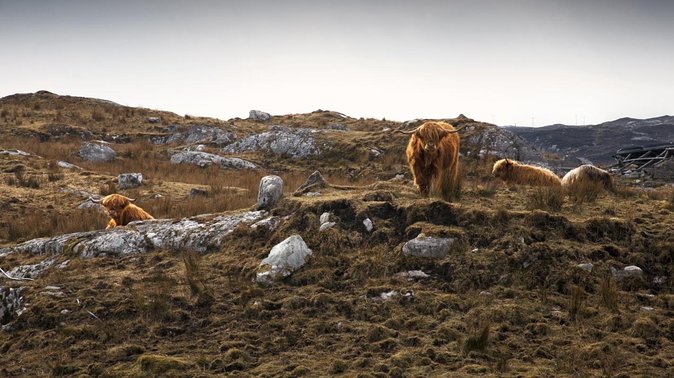 3-Day Hebrides Tour from Inverness: Isles of Lewis and Harris - Key highlights that make this tour worth your time
