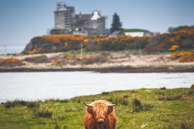 3-Day Isle of Mull and Iona Small-Group Tour from Glasgow - Comfort, pacing, and the guide factor on long island days