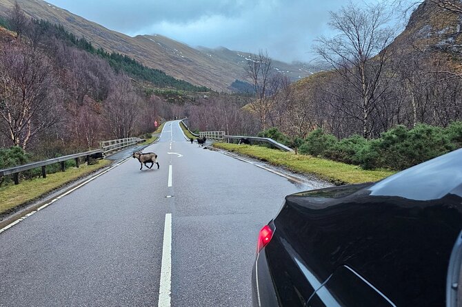 3 Day Isle of Skye Adventure from Edinburgh - The Big Idea: Three Iconic Stops Without the Planning Headache