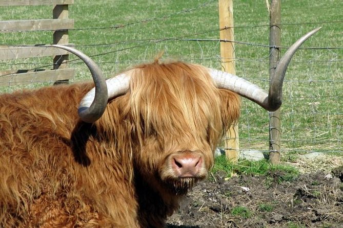 3-Day Isle of Skye and Highlands Tour from Glasgow - Price and what you truly get for $416.68 per person