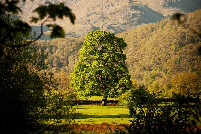 3-Day Lake District Explorer Small-Group Tour from Edinburgh - Where You Stay in Keswick or Bowness: Comfort Plus the Fine Print