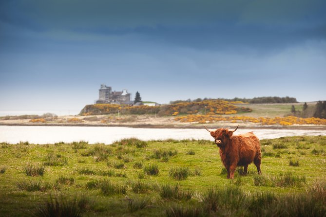 4-Day Magical Mull, Iona & West Highlands Small-Group Tour from Edinburgh - Day 4: Inveraray, Luss on Loch Lomond, and back to Edinburgh