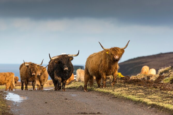 8 Day Isle of Skye, Orkney & North Coast 500 tour from Edinburgh - Day 1: Dunkeld, Highland Folk Museum, Culloden, and Clava Cairns