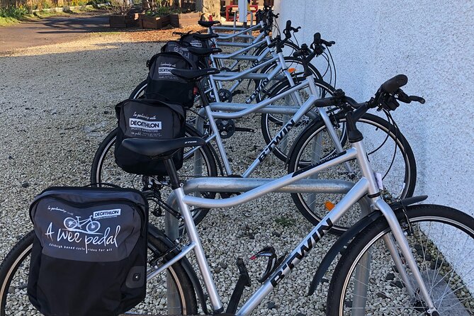 'A Wee Pedal's' Family Friendly Cycle Tour to Edinburgh's Coast - Rolling onto the coast for the coffee and ice cream moment