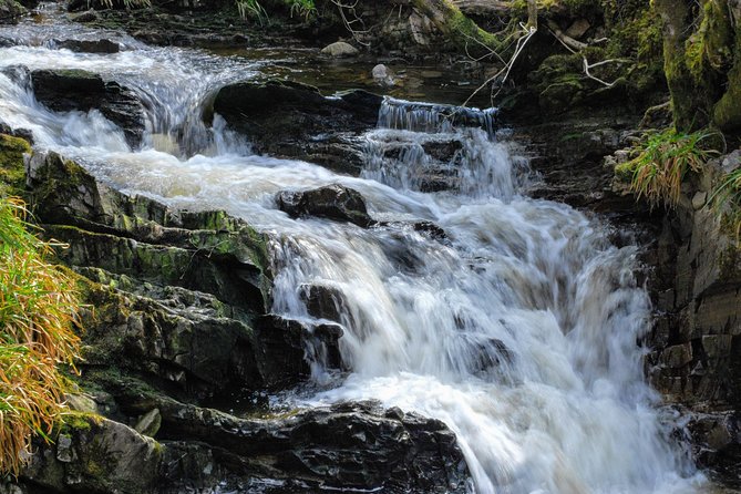 Alternative Loch Ness Tour by Secret Highlands - Food, timing, and what you should pack for an 8-hour loop