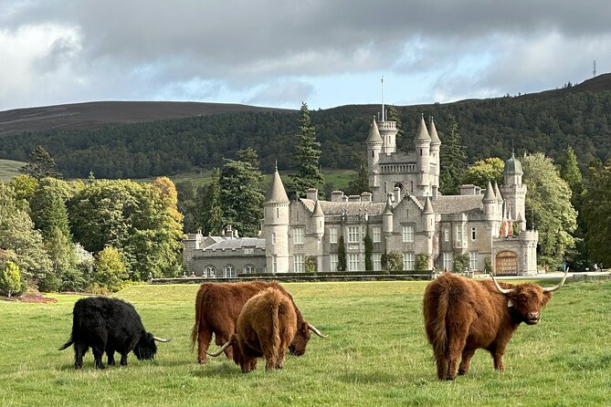 Balmoral & Royal Deeside Tour - Lunch, shoes, and ticket math for a full day
