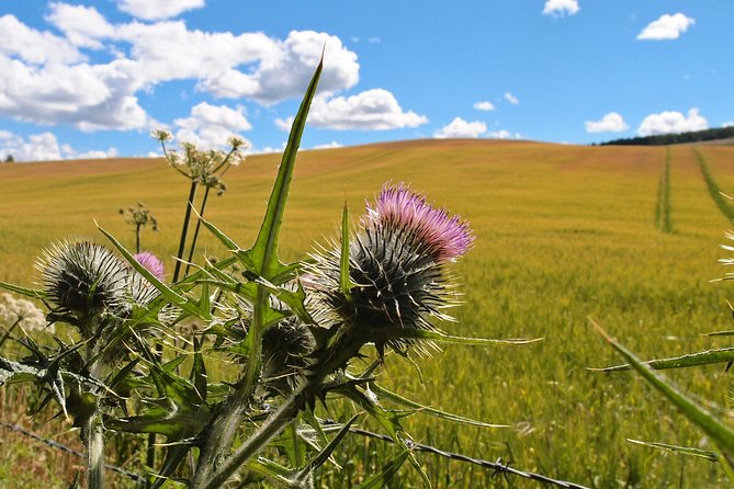 Cycle To Loch Ness - Self Guided - Stop 3: Loch Ness via NCN Route 78, The Caledonia Way to Dores