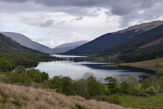 Discovery Wildlife Safari - What makes the Discovery Wildlife Safari feel different in the Highlands