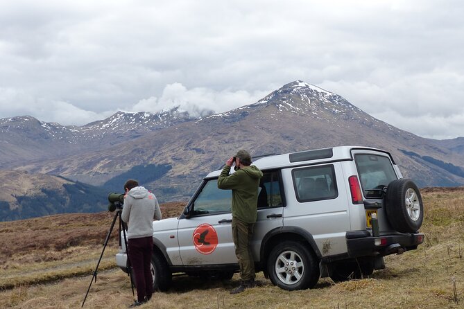Discovery Wildlife Safari - The off-road route: remote tracks, viewpoints, and one practical reality check