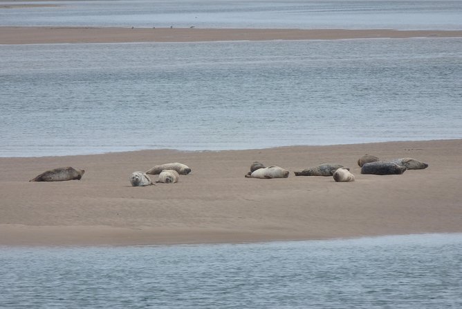 Dunrobin Castle and Glenmorangie Distillery - Local Private Tour - Loch Fleet Nature Reserve: Wildlife Odds Without a Safari Budget