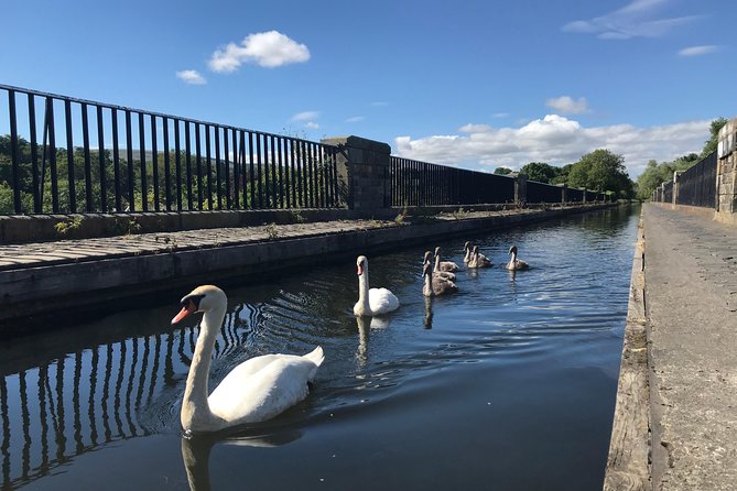Edinburgh City Bike Tour - Choice of E-Bike or Manual - The Water of Leith Return, Calton Hill View, and a Safer Way Back