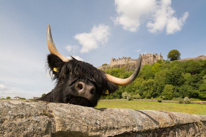 Edinburgh: Loch Lomond, Stirling Castle and the Kelpies Day Tour - How the day is paced (and why it matters)