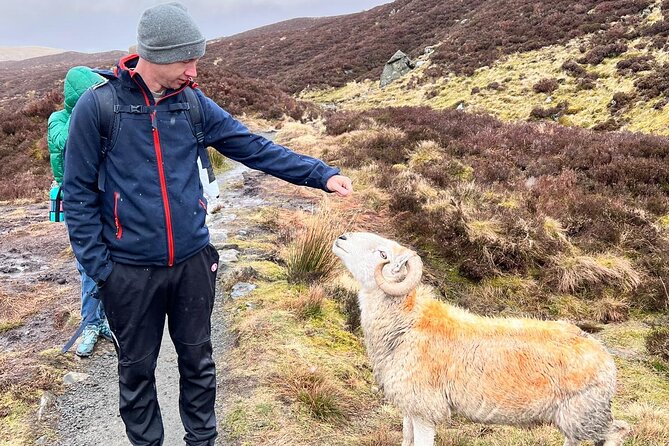 English Speaking Homestay Exploring Edinburgh and National Parks - Where you stay in Moffat, and how the small-group setup changes the trip