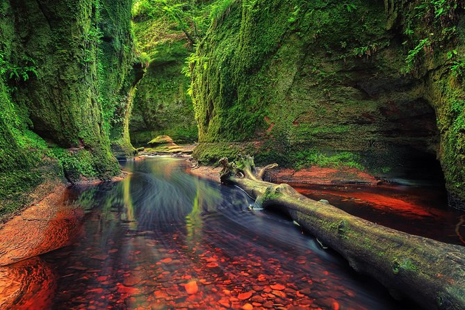 Find a hidden Glen in Scotland's woods - What Makes This Finnich Glen Hike Worth Your Morning