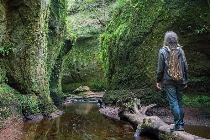 Find a hidden Glen in Scotland's woods - Group Size and Fitness: What You Should Be Ready For