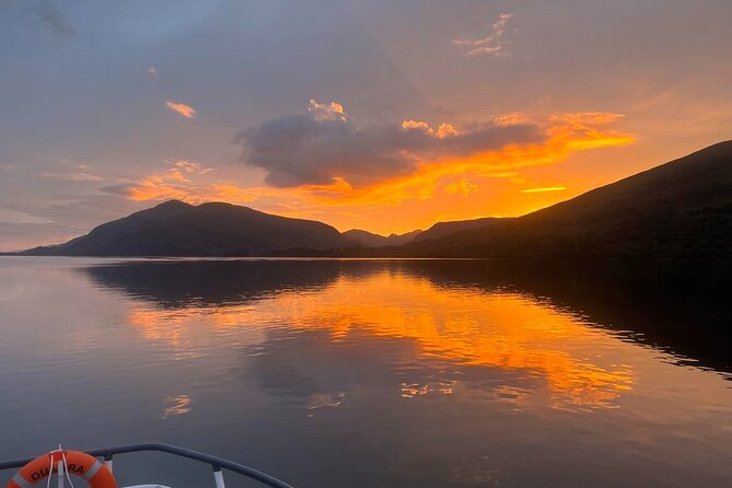 Fort William Evening Cruise - Wildlife Chances: Dolphins and Seals, But Plan for Reality