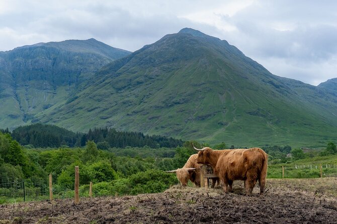 From Glasgow: Scottish Highlands and Loch Ness Day Tour - Loch Lomond and The Trossachs: quick scenic hits with Luss