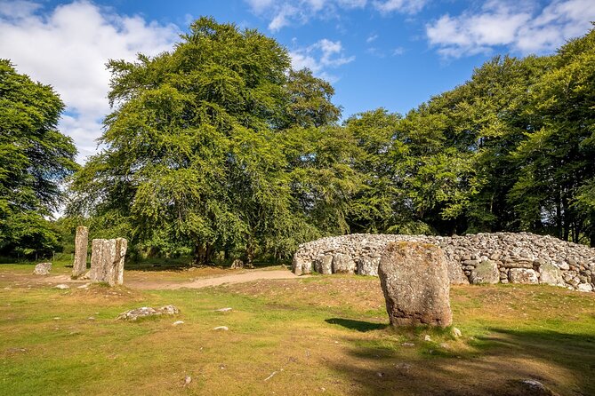 From Inverness: Cawdor Castle, Cairngorms and Highland Coos - A tight 8-hour day that hits Cairngorms classics from Inverness