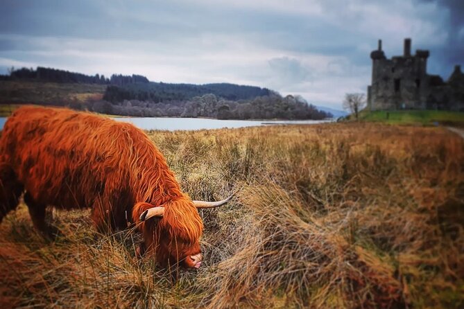 Full Day Private Tour in West Highlands, Oban and Glencoe - Loch Lubnaig stop: stretch your legs at the Loch Lomond National Park edge