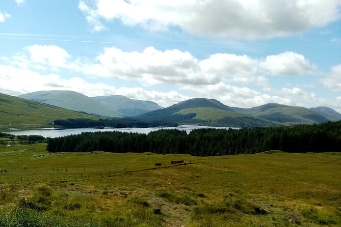 Full-Day Tour to the Scottish Highlands - The morning power run: the palace, the Kelpies, Stirling, and Wallace