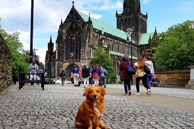 Gander Walking Tours in Glasgow - George Square and City Chambers, Plus That Rooftop Ship Surprise