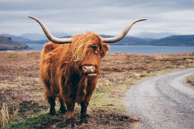 Glasgow: Isle of Skye, The Highlands and Loch Ness - 3 Day Tour - The small-group setup, and the real limits you should know