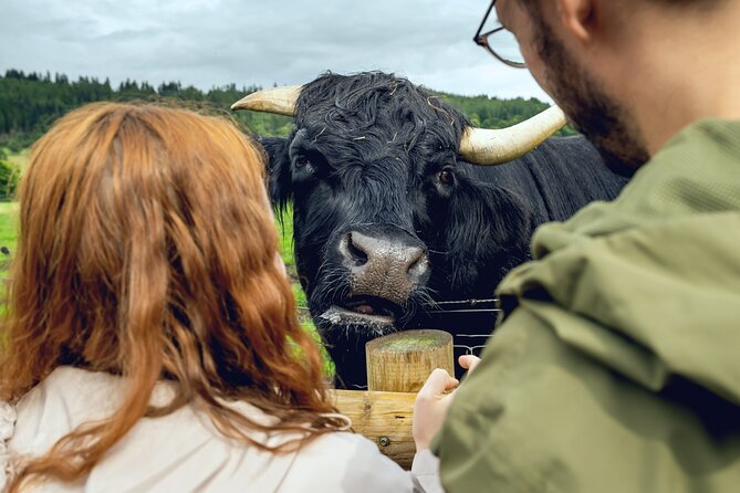 Hairy Coos & Highland Views: A Short Day Escape from Edinburgh - Key highlights to look forward to