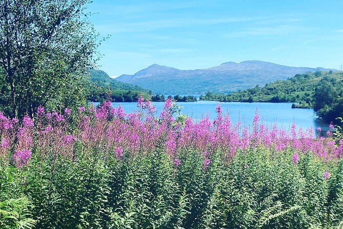 Half Day Loch Katrine Explorer Private Ebike Tour - The ride experience: pace, comfort, and the role of weather
