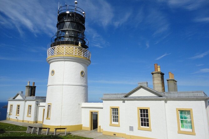 Half Day Private Tour with Puffins, Ponies and Past Shetland - Key highlights worth your attention
