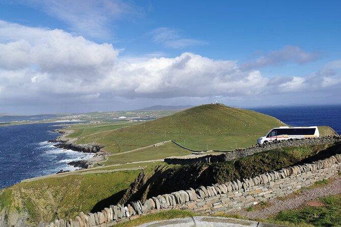 Half Day Private Tour with Puffins, Ponies and Past Shetland - Carol’s Ponies: meeting a Shetland breed that still has a job to do
