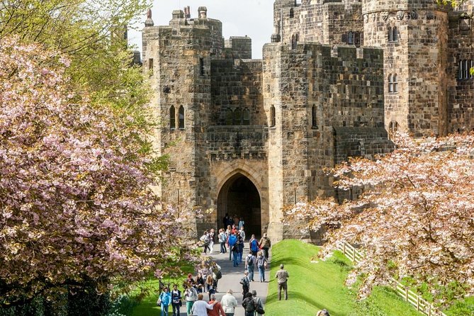 Harry Potter's Alnwick Castle and Scottish Borders Day Trip - Bamburgh Castle: Sea Views, Volcanic Rock, and a Quick Walk