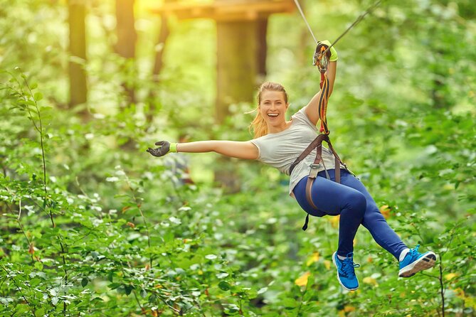 High Ropes and Adventure Tree Top Experience - Key highlights before you clip in