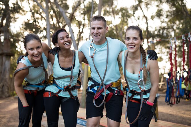High Ropes and Adventure Tree Top Experience - Loch Lomond Shores location and the feeling of a calmer treetop park