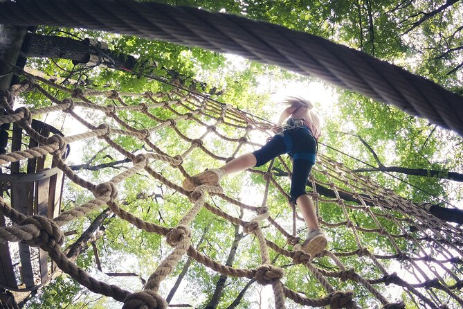 High Ropes and Adventure Tree Top Experience - The Wee Yin beginner course, where trust comes before speed