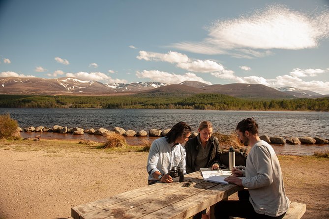 Highland Lochs, Glens & Whisky Day Tour Including Admission - The Hermitage walk: River Braan, fir-lined paths, and waterfall energy