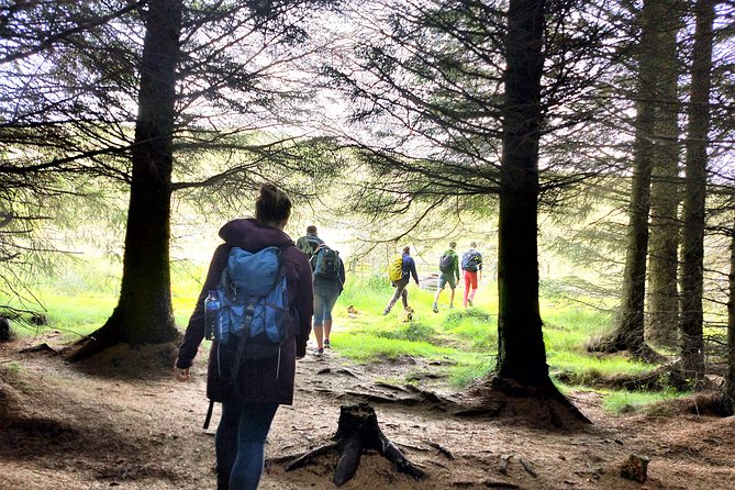 Hill & Nature Hike - Discover Real Edinburgh With a Local Expert - Wildlife spotting without the pressure