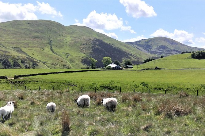 Hill & Nature Hike - Discover Real Edinburgh With a Local Expert - Weather in Edinburgh hill country, and what to wear