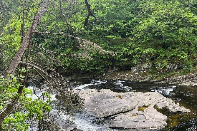Invergordon or Inverness: Loch Ness Explorer Private Tour - Stop 3: Invermoriston Falls walk, woodland calm, and the salmon-watching angle
