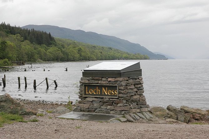 INVERGORDON PORT Tour of Culloden, Cairns & Cawdor Castle - Stop 5: Robertson’s Highland Cows, Alpacas, and Farm-Shop Time