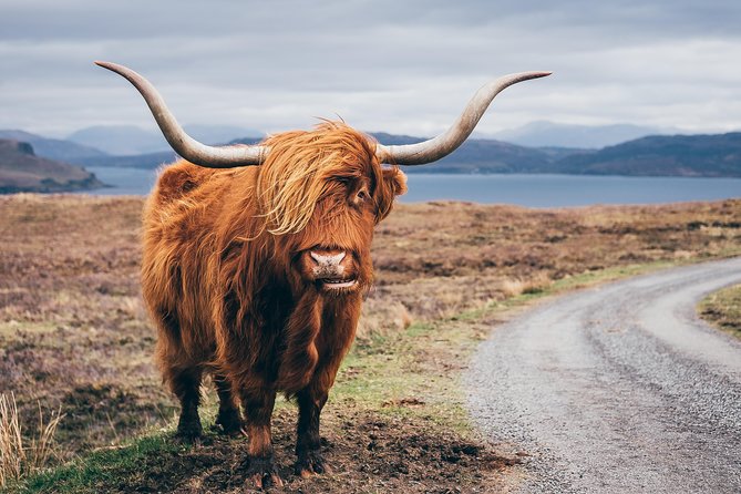 Inverness: Applecross, Loch Carron & the Wild Highlands - What the Guide Adds: Live Commentary and Real Local Stories