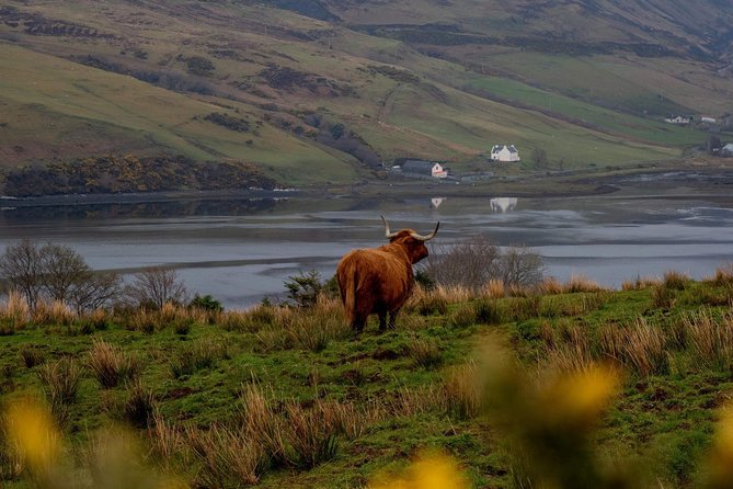 Isle of Skye and the Fairy Pools Tour - Private Isle of Skye Value: What You Pay For