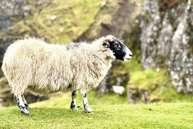 Isle of Skye from Inverness Private Tour - Who This Private Skye Day Trip Is For, and Who Should Skip It