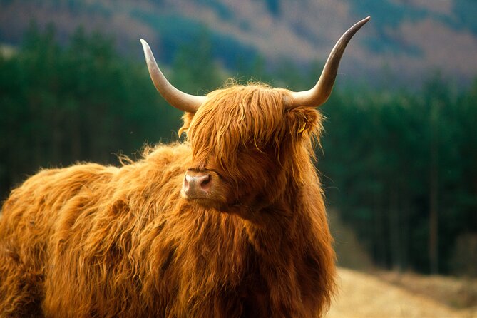 Isle of Skye Full Day Private Tour from Inverness - Urquhart Castle Views and the 1957 Hydropower Story You Can See From the Road