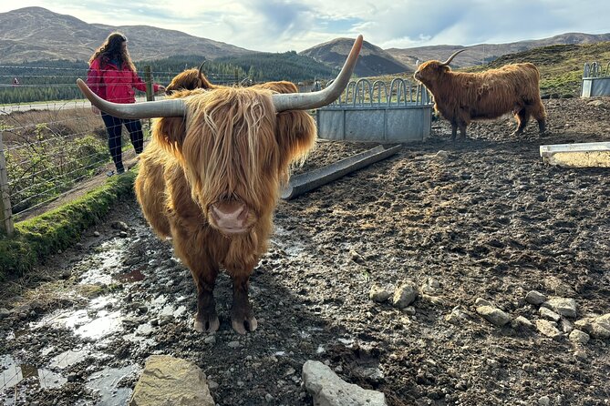 Isle of Skye Highlights - Bespoke Private Tour for up to 7 guests - Dunvegan Castle and gardens: where Clan Macleod details matter