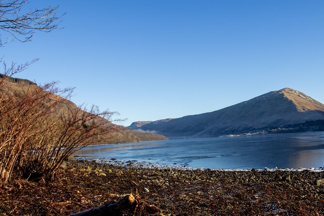 Loch Lomond, Highland Cows, Victorian Town, Castle Half-Day Tour - Why the $620.09 Per Group Price Can Make Sense