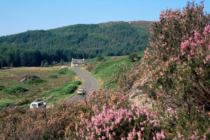 Loch Lomond National Park & Stirling Castle Full Day Tour - Key Highlights You’ll Actually Feel on the Day